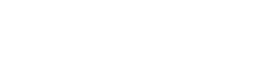 Boston Dynamics